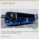 샐랜드 이미지