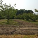 갯벌농장 이미지