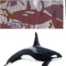 고래반점 이미지