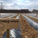 야우농장 이미지