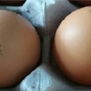 승일농장 이미지