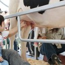 분당목장 이미지