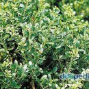 동산자연어린이집 이미지