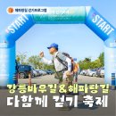 축제2015 | [걷기 프로그램] 2026 강릉바우길 &amp; 해파랑길 다함께 걷기축제 후기, 해파랑길 40코스 역방향 걷기