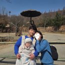 253 | [D+253] 애버랜드 워킹사파리 후기 (8개월 아기, 발렛파킹, 쿠팡 할인)