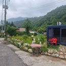 흥정계곡 409 이미지