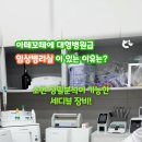 아떼꼬떼 동물병원 이미지