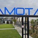 라모타C 이미지