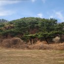 서병수 서범수의원 증조모 선영 이미지