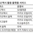 블루카카오 이미지