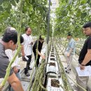 창희네 농장 이미지