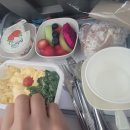 5918 | [스위스🇨🇭] 대한항공(KE5918) 기내식 #당뇨식 #비빔밥