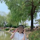 이곡보리밥 이미지