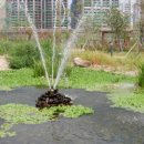 동부체육공원 족구장 이미지