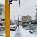 양림동행정복지센터 이미지