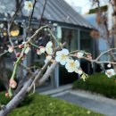 매화휘트니스 이미지