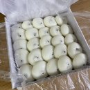 [원주 떡집] 동글쫀득 맛있는 기증떡, 원주 궁 잔기지떡