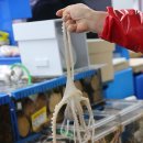 조은낙지 이미지