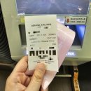 577 | 카자흐스탄 여행 인천 알마티 아시아나 항공 OZ577 이코노미 탑승 후기 기내식 레그룸