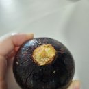 [후기] 창원/의창구/성산구/과일/배달과일/털보과일/바나나/체리/망고스틴/먹는법/내돈내산/후기