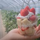 계성장마로 이미지