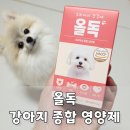 바이올독 푸드 | 강아지 종합 영양제 올독, 마로가 간식처럼 잘 먹은 후기