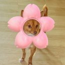 지금의우리