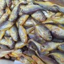 [판매글] 산지에서 공수해온 맛있는 보리굴비 택포52.000원/제철 봄 황석어 키로4천원으로 왔습니다!! 이미지