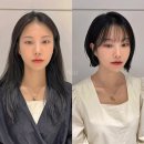 2026 나에게 맞는 트렌디한 레이어드컷 찾는 법✨