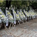 성남초등학교 이미지