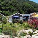 주목나무펜션 이미지