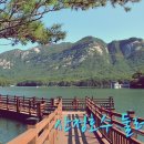 카플 주차장 이미지