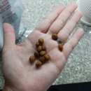 이지힐메딕스 네이버블로그