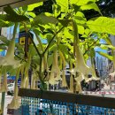 일미분식 이미지