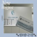 부천 셀포랩 니즈점 후기 누워서 체지방 감소와 근육 증가
