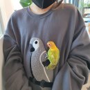 앵무새카페 이미지