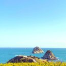 영도조선(주) | 부산 여행 코스 추천 부산 웨스틴조선 호텔 동백섬 오륙도 수선화