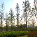 시민공원 이미지