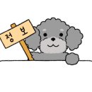 댕냥잇츠 네이버블로그