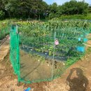 홍이네농장 이미지