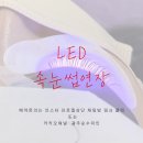 순수미인 | [광주 속눈썹] 쌍촌동 순수미인 속눈썹펌+연장 후기