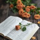 마음의 양식 이미지