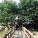 푸른농원연잎밥 이미지