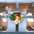 Chatter Bowl(채터볼) - 642689 | Chatter Bowl(채터볼)