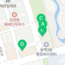 냄비닭발 동백점 이미지