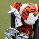 타이거골프클럽 이미지