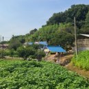 우두3통 이미지