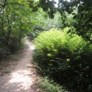 개화산 자락길 이미지