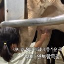 통진목장 이미지