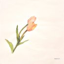 글씨테라피, 캘리그라피 이미지